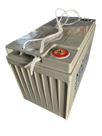 SANITMAX Batteries for SUNMAX RT50, RT50D, RT70 Floor Scrubber Machines (Pack of 2)